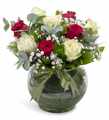 Vazoda 9 Krmz Beyaz Gl